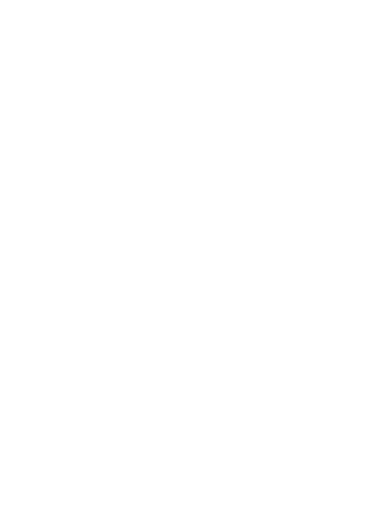 Dance Flash